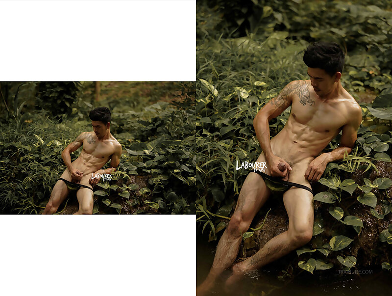 Next Image >>