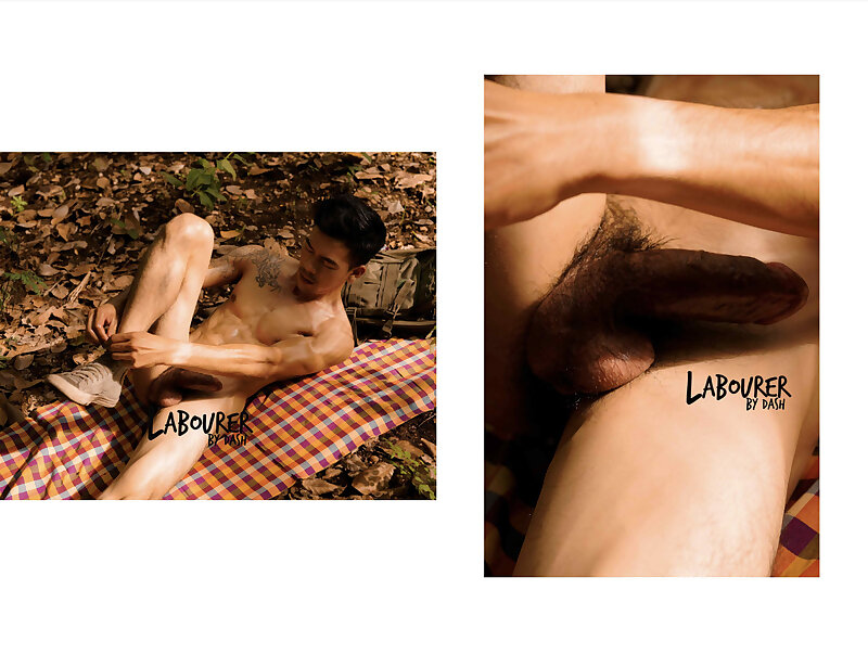 Next Image >>