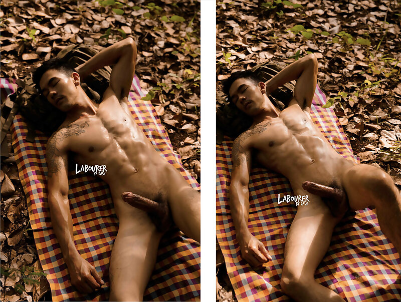 Next Image >>