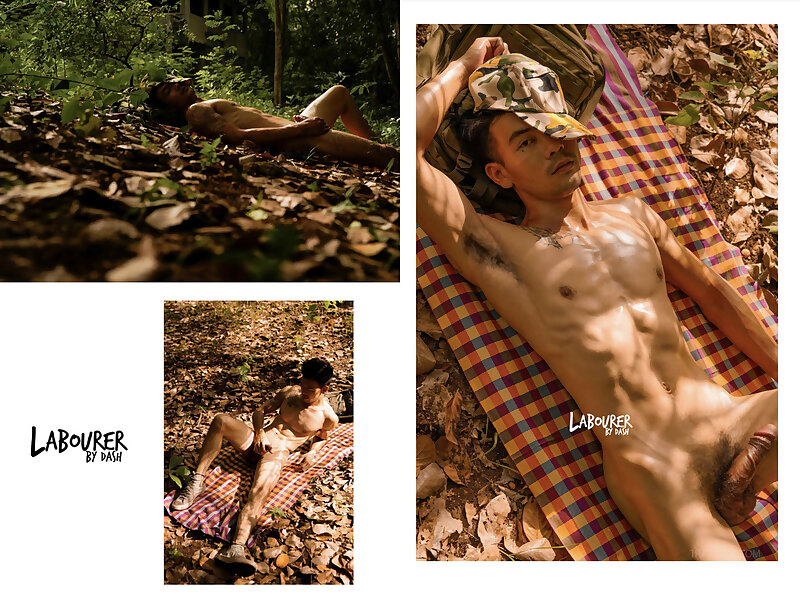 Next Image >>