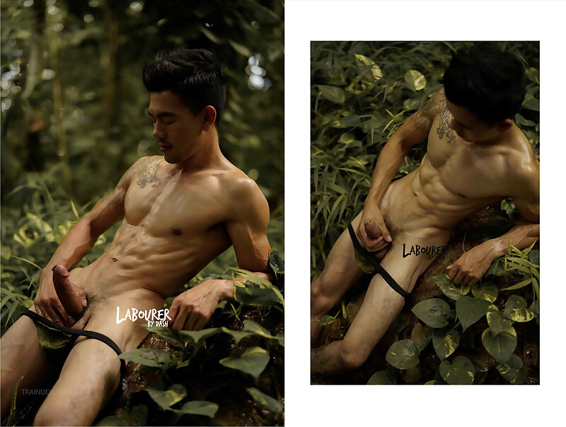 Next Image >>
