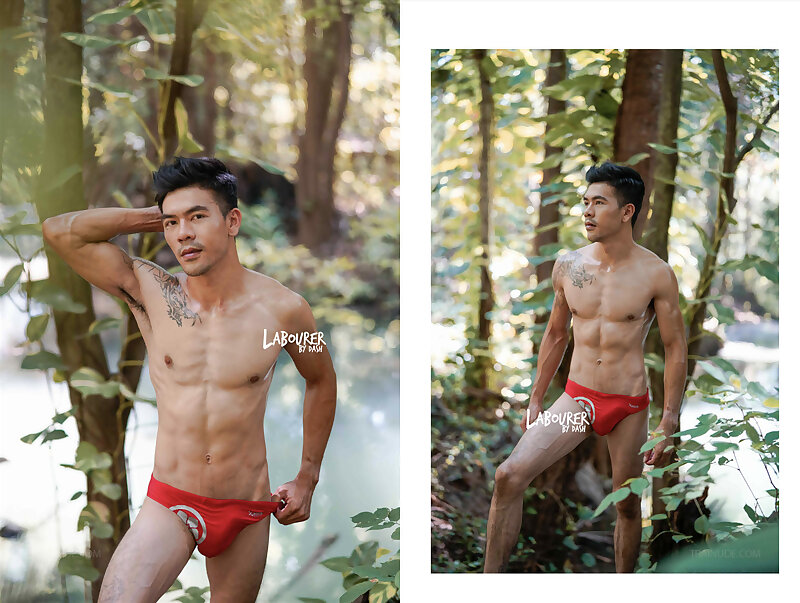 Next Image >>
