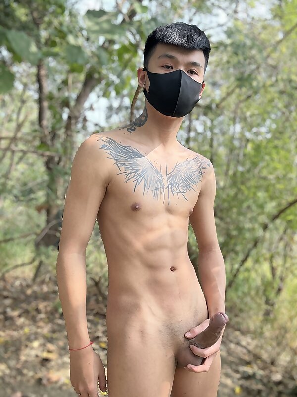 Next Image >>