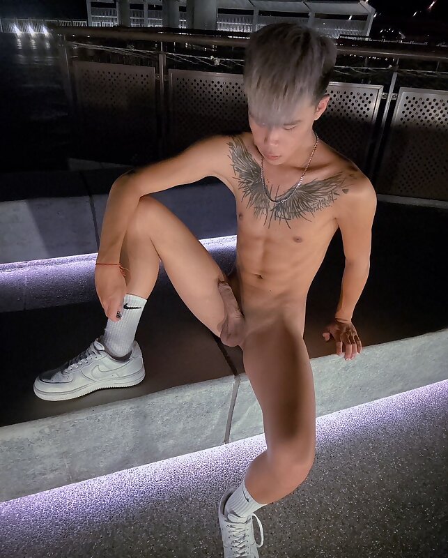 Next Image >>