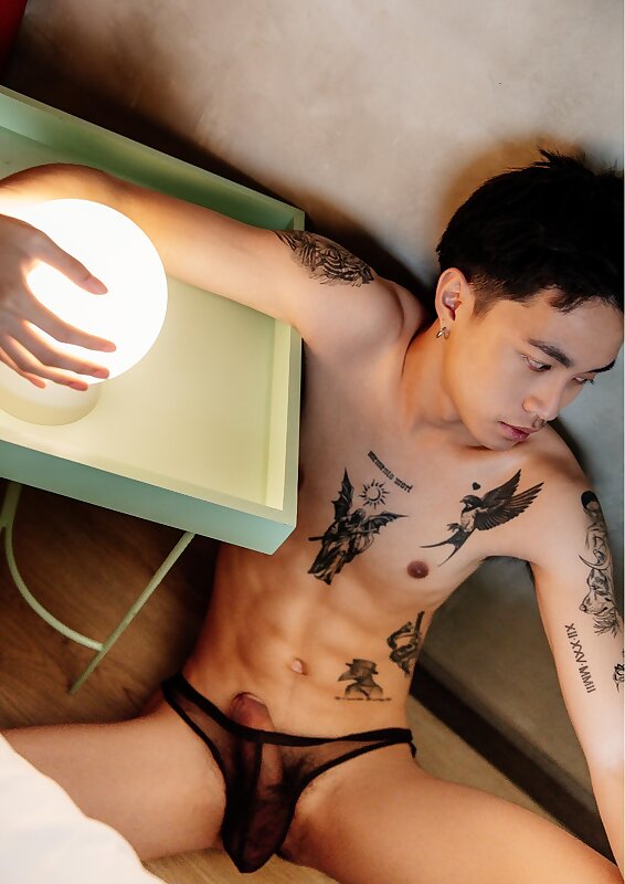 Next Image >>