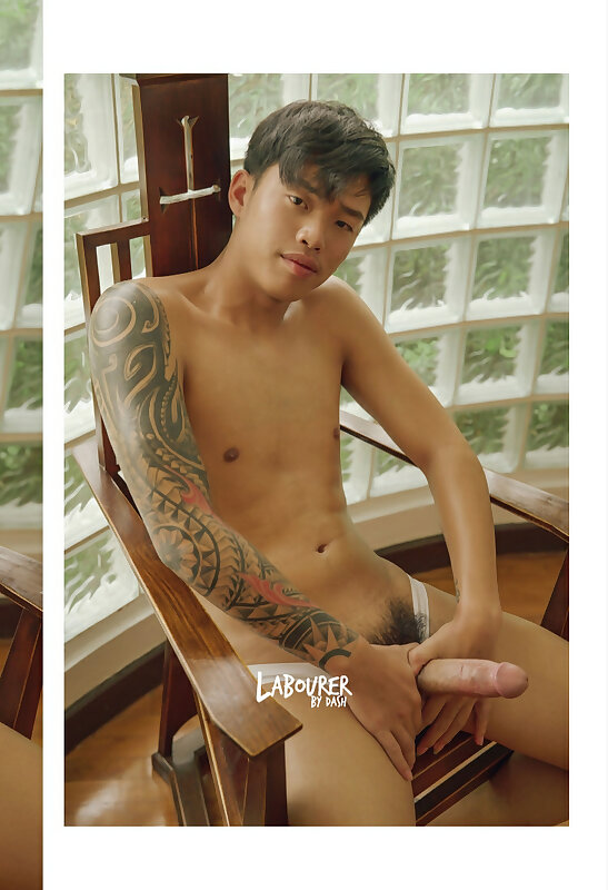 Next Image >>