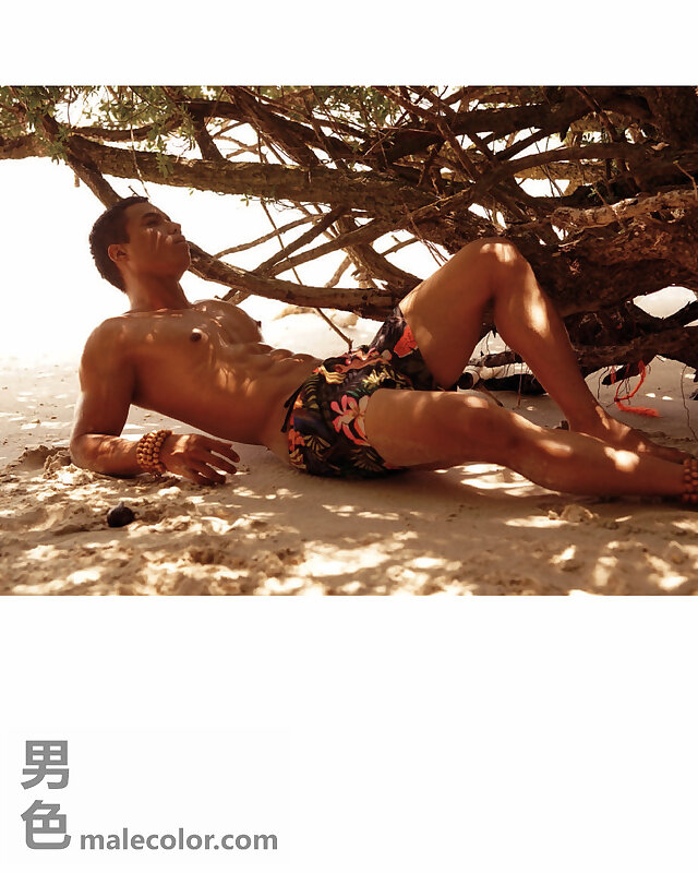 Next Image >>