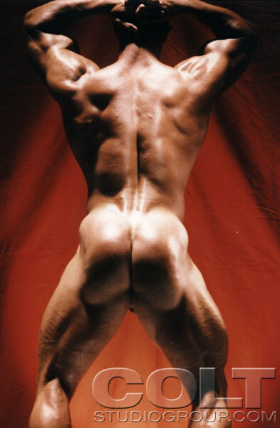 Next Image >>