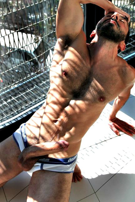 Next Image >>