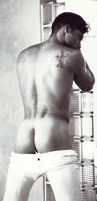 Next Image >>