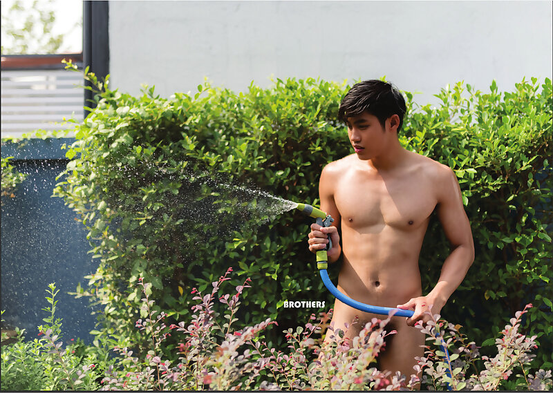 Next Image >>
