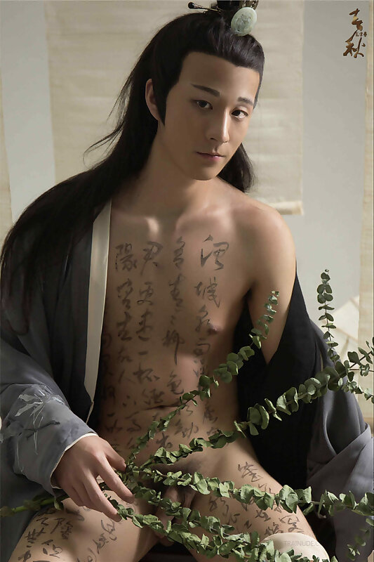 Next Image >>