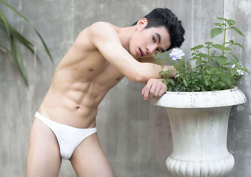 Next Image >>