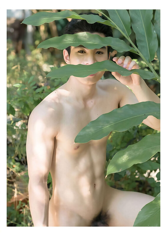 Next Image >>