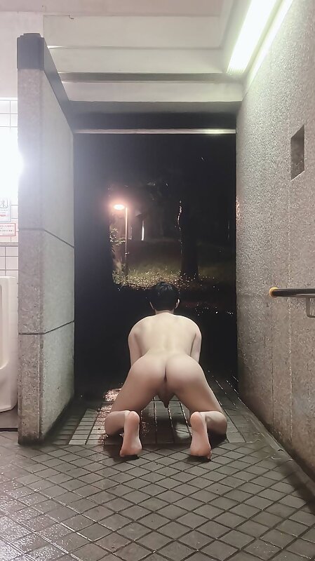 Next Image >>
