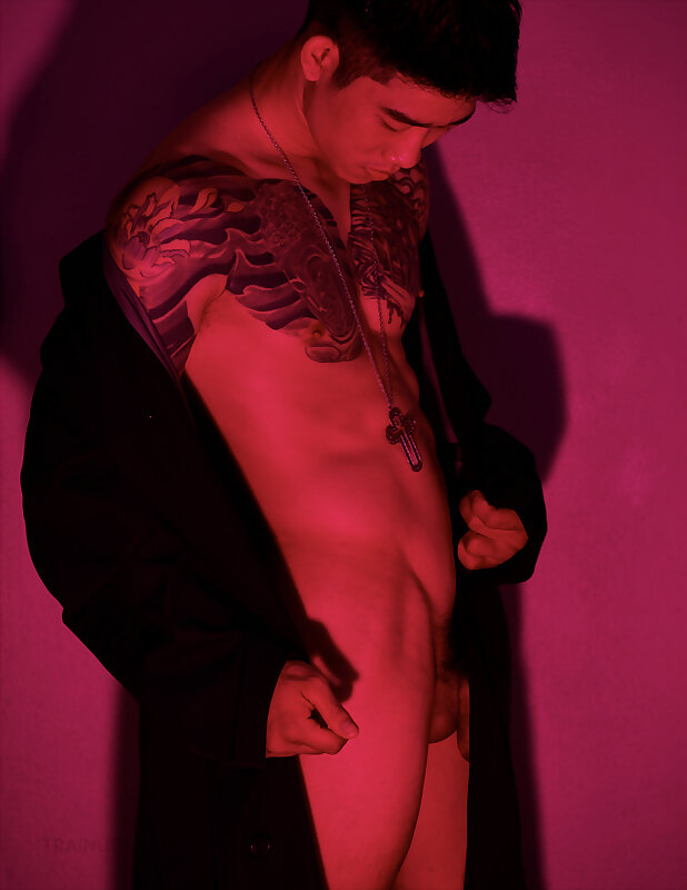 Next Image >>
