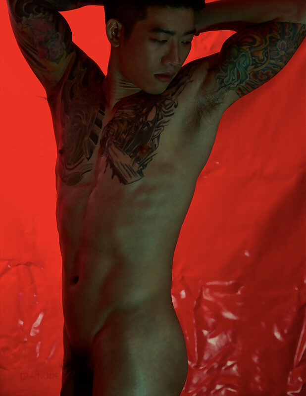 Next Image >>