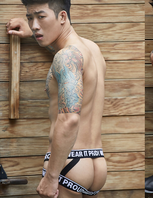 Next Image >>