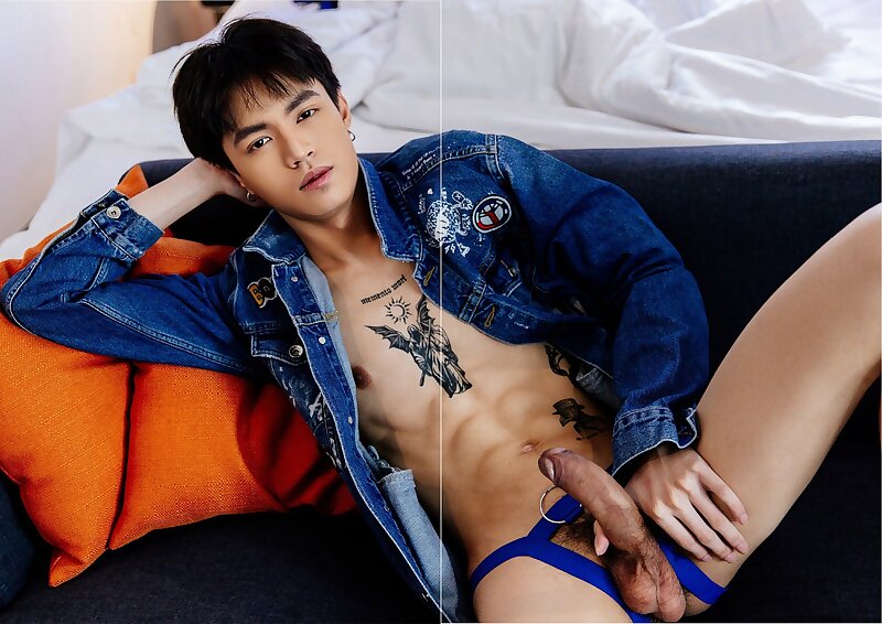 Next Image >>