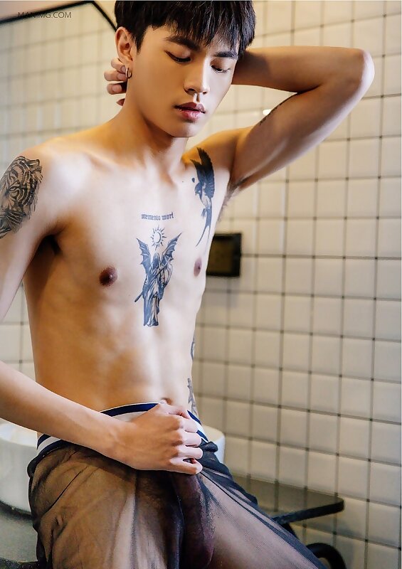 Next Image >>