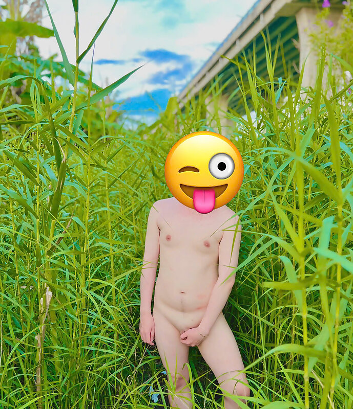 Next Image >>