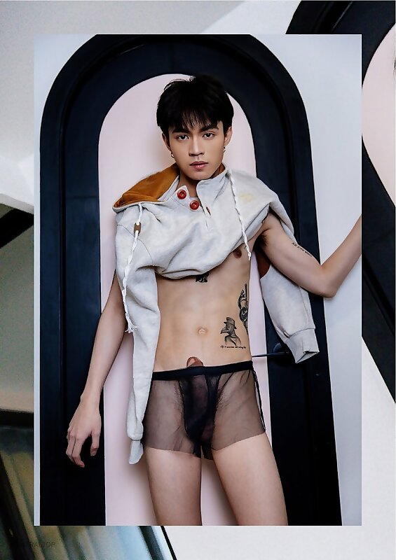 Next Image >>