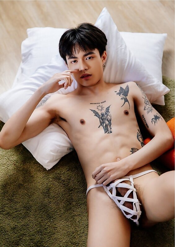 Next Image >>