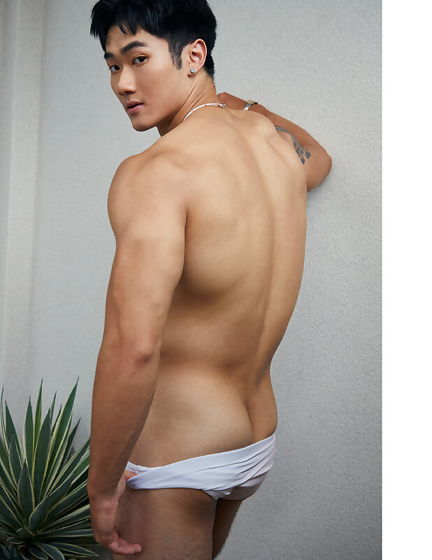 Next Image >>