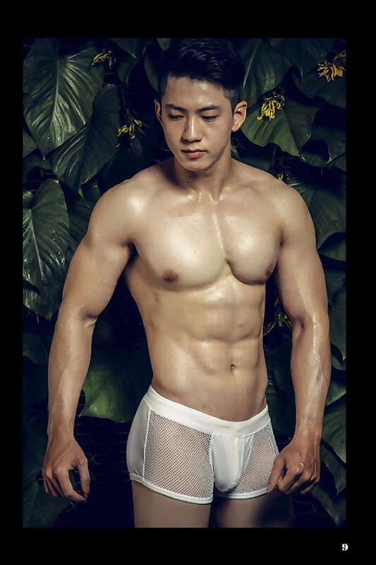Next Image >>