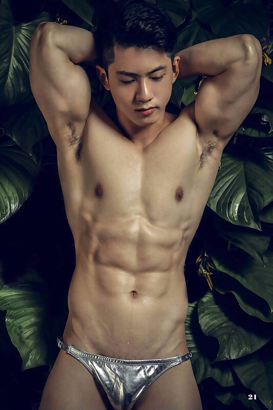Next Image >>