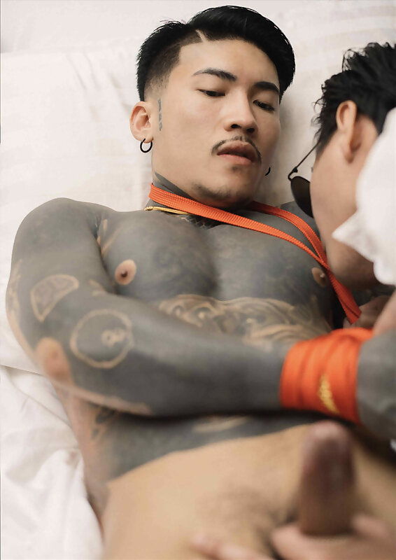 Next Image >>
