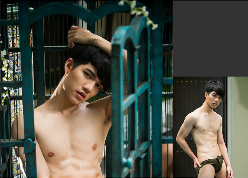 Next Image >>