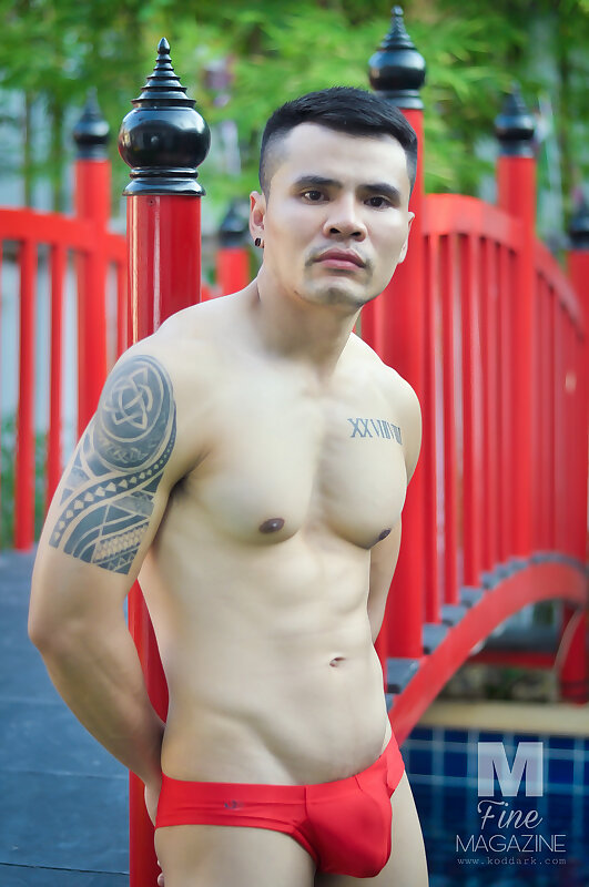 Next Image >>