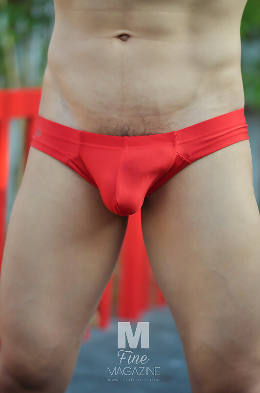 Next Image >>