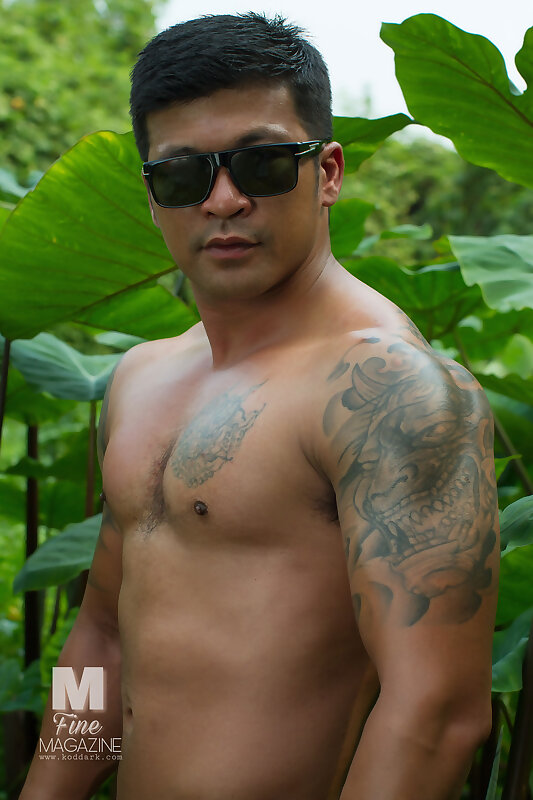 Next Image >>