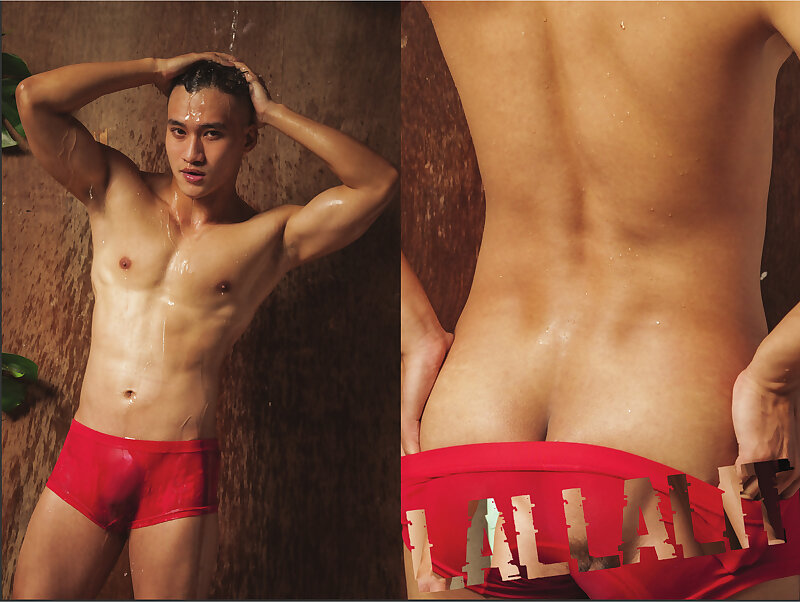 Next Image >>