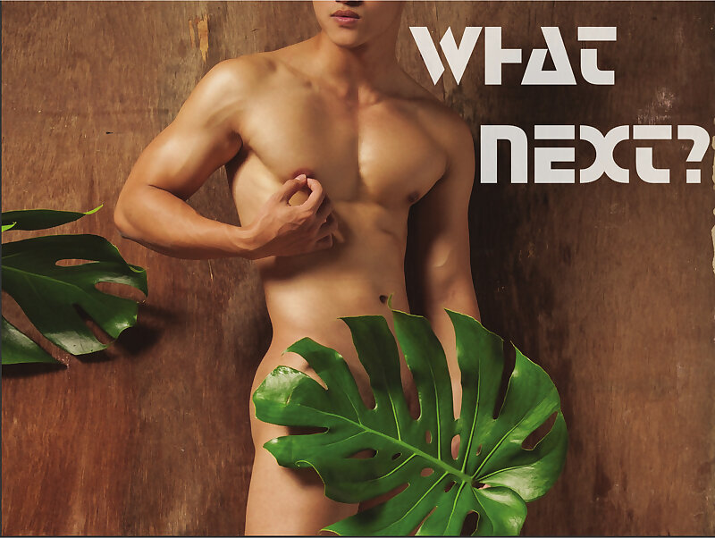 Next Image >>