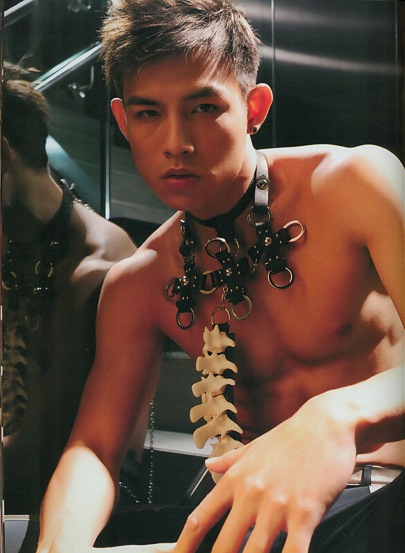 Next Image >>