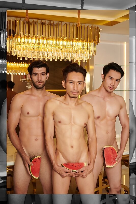 Next Image >>