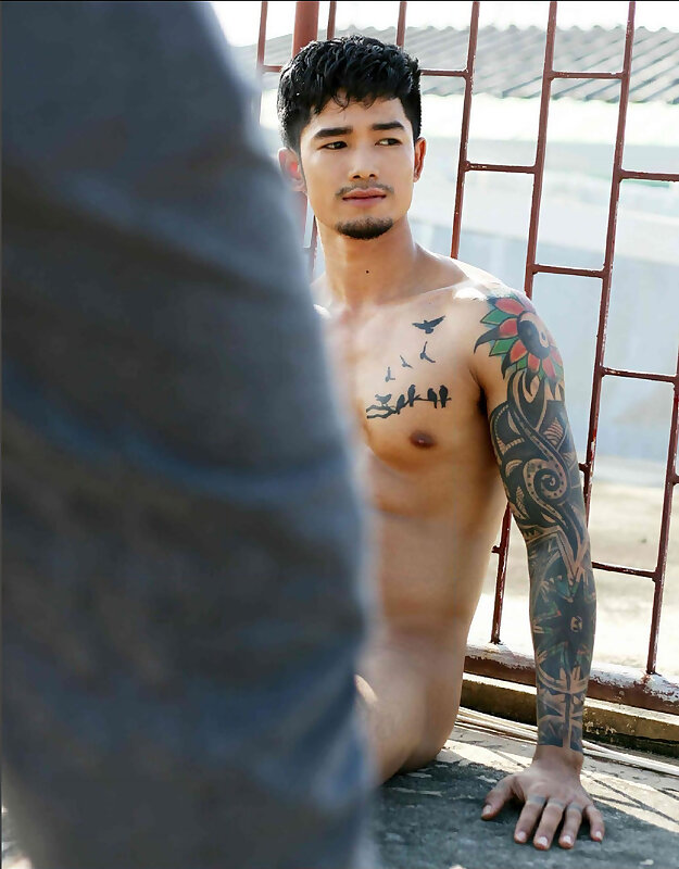 Next Image >>