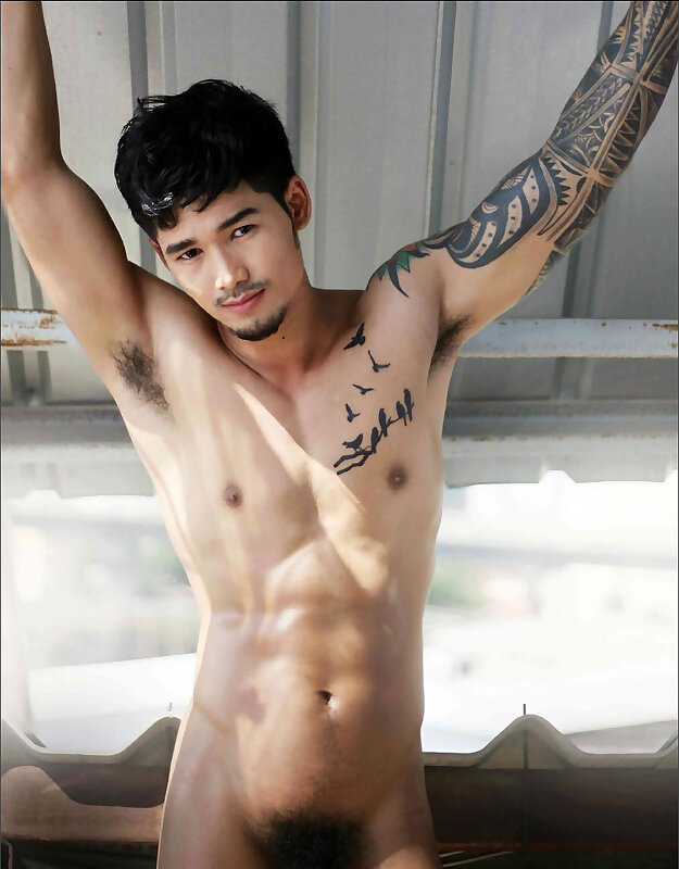 Next Image >>