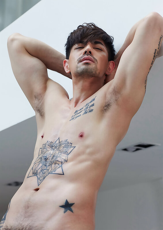 Next Image >>