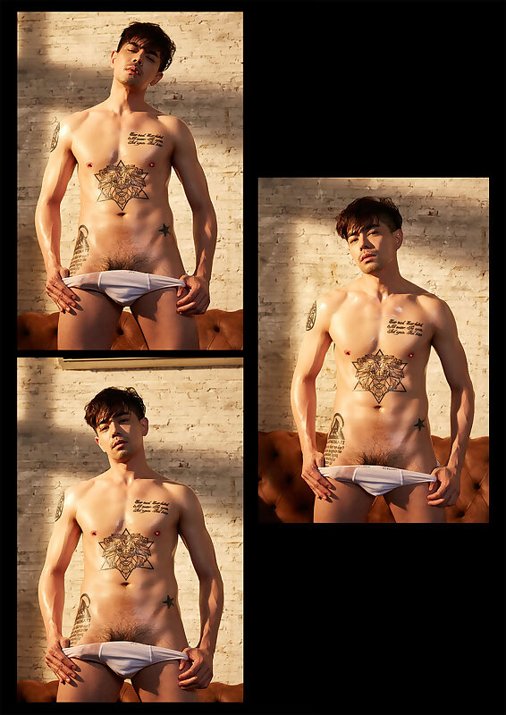 Next Image >>