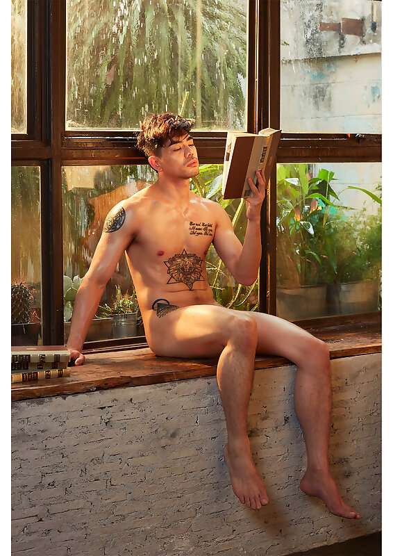 Next Image >>