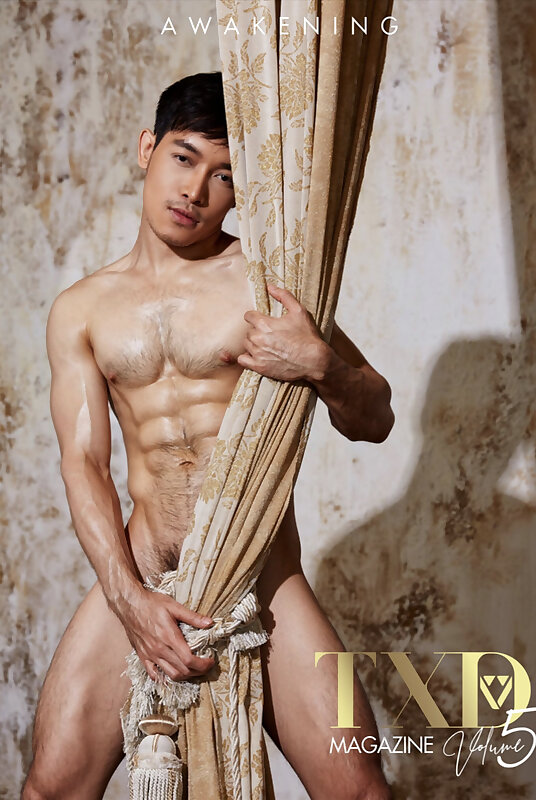 Next Image >>