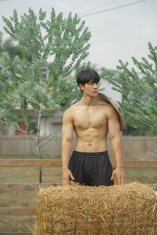 Next Image >>