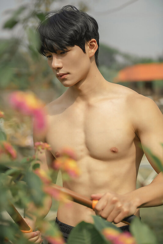 Next Image >>