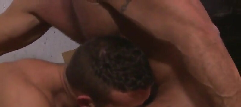 Next Image >>