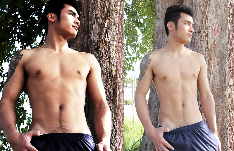Next Image >>