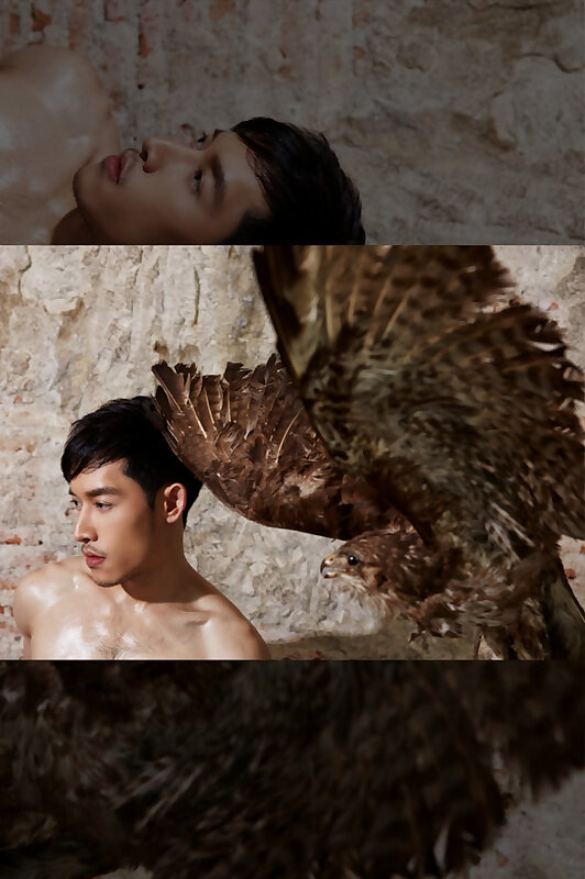 Next Image >>